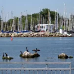 Whitby ON Waterfront Marina